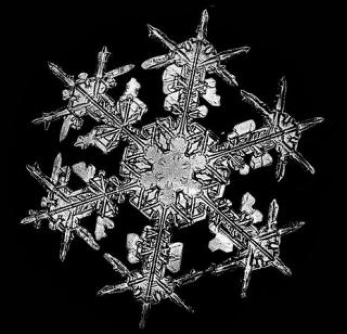 There are really 2 identical snowflakes