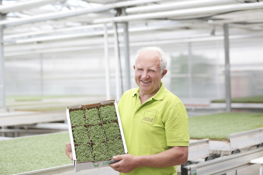 Garden Cress from Oekohof Feldinger, AUSTRIA