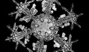 There are really 2 identical snowflakes